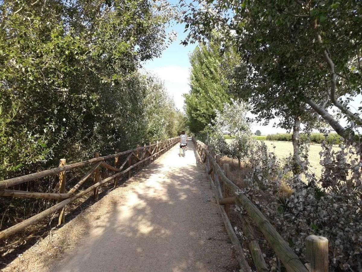 Casetes Del Delta Sant Jaume d'Enveja Eksteriør bilde